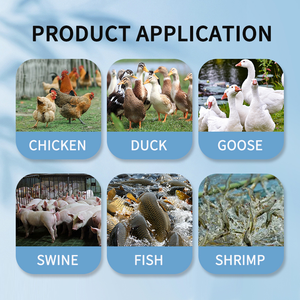 Bán buôn Chất lượng cao Thymol <span class=keywords><strong>carvacrol</strong></span> cải thiện đường ruột sức khỏe thức ăn phụ gia cho gia cầm lợn nuôi trồng thủy sản - Product Image 4