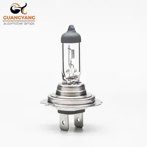 Factory Outlet Auto Halogeenlamp H7 12V 55W Auto Lamp Halogeen Clear