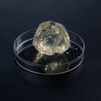 Gélatine 280 Bloom de qualité alimentaire Halal pour poulet, bœuf, poisson, en vrac, pour oursons gélifiés délicieux