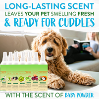 Éliminateur neutralisant d'odeurs de fruits naturels biologiques Spray désodorisant pour chien, parfum désodorisant pour animaux de compagnie déodorant pour chats