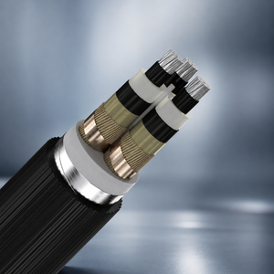 สายเคเบิลจ่ายไฟฟ้าแรงดันปานกลางชนิดอลูมิเนียม XLPE รุ่น NA2XS2Y ขนาด 1x50/25 มม.² สำหรับระบบไฟฟ้าใต้ดิน - Product Image 3