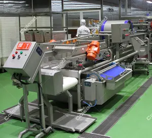 Ligne de production de légumes surgelés Ligne de traitement et de conditionnement automatique des fruits et légumes
