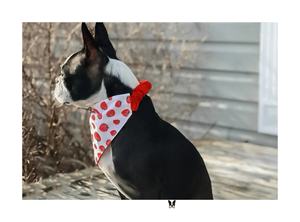 Bandanas pour chiens et chats en coton classique de luxe QQgift, tutoriel de <span class=keywords><strong>couture</strong></span> PDF, élastique, téléchargement instantané numérique, <span class=keywords><strong>couture</strong></span> facile, impression - Product Image 3