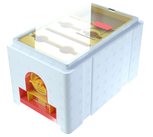 Epps + P bọt Nữ Hoàng ong lồng ấp - Product Image 3