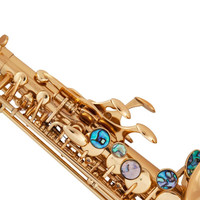 Profesional Brass Curved Bb Soprano Saxophone Gold Lacquer Surface Abalone Buttons Bakelite for Entertainment & Performance Use