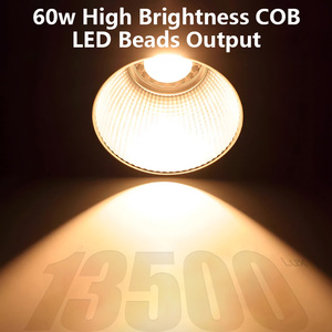 Lumière d'appoint YM-S60 60W COB, lumière rechargeable, prise de vue en extérieur, beauté, diffusion en direct, photographie portable, projecteur - Product Image 5