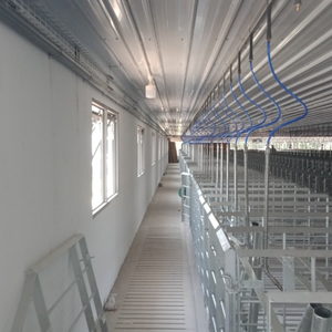 Pechera para cerdos preñados, parto para cerdos, diseño de 2 puertas galvanizado en caliente, incluye tolva de alimentación y cartón, hecho en Vietnam - Product Image 3