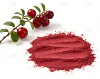 Poudre de canneberge lyophilisée 100% pure, naturelle, de qualité alimentaire, en vrac, pour boissons, pâtisseries et compléments alimentaires