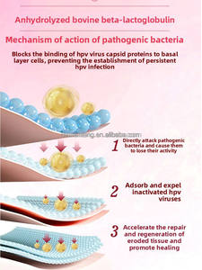 Professionelles Bioaktives Protein-Gel für Frauen zur <span class=keywords><strong>HPV</strong></span>-Behandlung zur Reduzierung des Viralbelasts & Unterstützung der Gebärmutterhals-Regeneration - Product Image 2