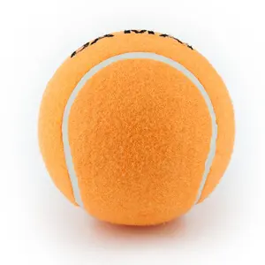 Colorido pet tênis bola para cão ou gato