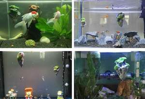 Decoración para Acuario - con <span class=keywords><strong>Roca</strong></span> Suspendida - <span class=keywords><strong>Roca</strong></span> Flotante de Musgo y Resina - <span class=keywords><strong>Roca</strong></span> Decorativa para Pecera - Product Image 5