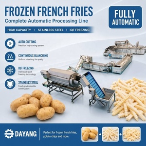 Linea di Produzione Automatica di <span class=keywords><strong>Patatine</strong></span> <span class=keywords><strong>Fritte</strong></span> Congelate DY con <span class=keywords><strong>Disegni</strong></span> Forniti, Capacità 200-3000kg/h - Product Image 1