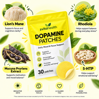 ZILI OEM Fabricant de patchs transdermiques de dopamine à marque privée, couleur personnalisée, faible MOQ, autocollants pour l'humeur et la concentration, approvisionnement en gros