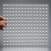 Tapis Magique LED Volant 2026 P4-P10 Ultra-Léger Transparent Flexible IP65 Écran Publicitaire Aérien Extérieur pour Événements