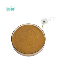 Poudre d'extrait de racine de pissenlit de qualité alimentaire 10% flavones 10:1, vente en gros usine