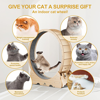 Roue de chat, roue de course d'exercice de grands chats de 43 "L, tapis roulant de chat pour chats d'intérieur