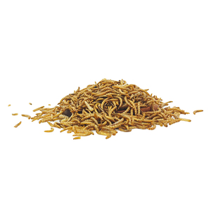 Un Kurdu Sarı Un Kurduları Yüksek Proteinli Kuş Kaplumbağa Hamster Solucanı Kurutulmuş Kuş Yemi Güvercin Yemi - Product Image 3