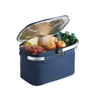 Vrouwen Geïsoleerde Picknickmand Lunchtas Voor Koeltassen Voedsel Thermische Isolatie Lunch Aangepast Cn; Shg 35l Oem