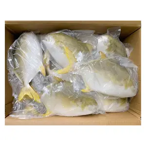 China congelado dorado Pompano pez Pomfret IQF IWP 200-300g 400-600 600g congelado dorado Pompano precio