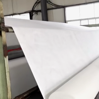 Géotextiles industriels en fibres courtes non tissées aiguilletées HDPE PP PET pour la protection des pentes