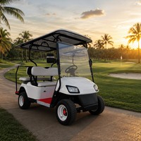 Voiturette de golf électrique 4 places, moteur AC 60V 3.5KW, batterie 100Ah, frein hydraulique double circuit, OEM ODM, 35KM/H, autonomie 90km