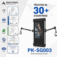 Écran de fitness interactif intelligent pour entraînements, équipement de gym numérique mural en acier, personnalisable pour usage domestique, unisexe