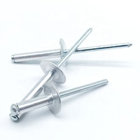 Rivets aveugles à tête large et à extrémité ouverte pour l'assemblage de tôles et de panneaux fins