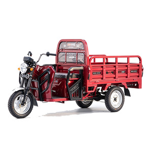 Nouveau modèle de tricycle cargo motorisé à double essieu, avec toit, à pédale, à roue de 14 pouces, et différentiel d'essieu arrière à transmission par gaz - Product Image 2