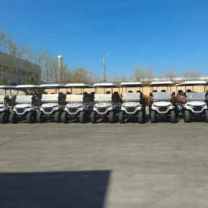 Nouveau modèle de voiturette de golf électrique à bas prix, buggy de chasse avec certificat GCC, voiturette de golf utilitaire - Product Image 6