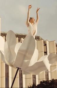 Tùy chỉnh cường độ cao linh hoạt lễ hội nghệ thuật hiệu suất sợi sway cực - Product Image 2