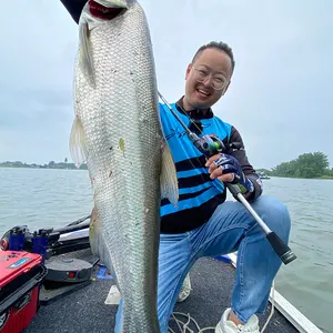 คันเบ็ดตกปลา Histar V587 รุ่น Japanese Toray Crossline C Tape Fuji Guide Ring คาร์บอนสูง 2.43 เมตร แอคชั่นเร็ว สำหรับตกปลาแบส - Product Image 5