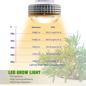 신지알라이트 100W 풀 스펙트럼 따뜻한 빛 E27 PAR38 새로운 디자인 좋은 방열 led 그라 램프 ZW0241