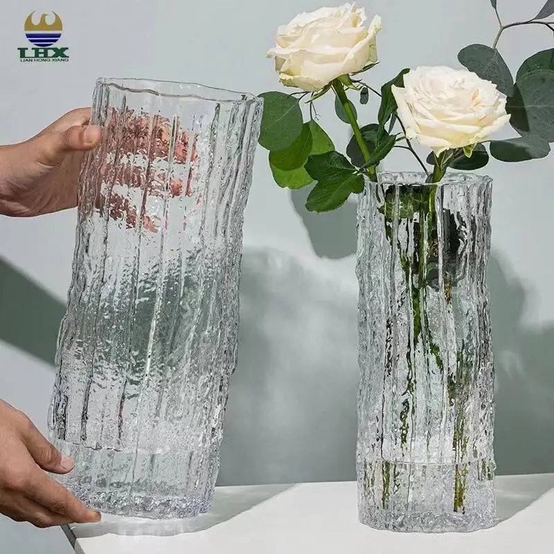 Özelleştirme için sıcak satış Modern masaüstü dekorasyon Nordic çiçek vazo çiçek düzenleme cam vazo