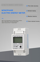 Meteran Energi Digital LCD Fase Tunggal kWh Penghitung Konsumsi Daya Tegangan Arus Wattmeter Listrik 220V dengan Tombol Reset