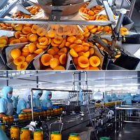 Geavanceerde multifunctionele verwerkingslijn voor perziken, abrikozen en pruimen met PLC-pompmotor voor het maken van sap, puree, jam en ingeblikt fruit.