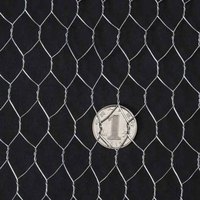 Grillage hexagonal galvanisé à chaud pour clôture de ferme avicole, fabriqué en fil de fer plié et traité pour gabions