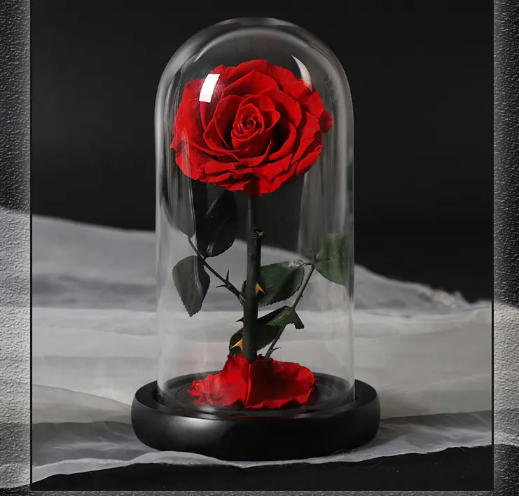 工場直接供給2024ホット販売永遠のバラバレンタインデー保存された花永遠のバラガラスドーム主導