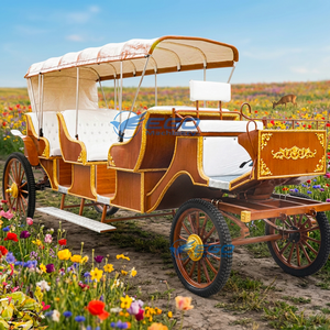 Fournisseur d'usine – Carrosse à chevaux vintage 8 places à trois rangées, non motorisé, en bois, pour usage commercial et touristique - Product Image 1
