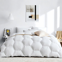 Parure de lit en duvet 100%, ensemble de literie de luxe, personnalisation de cadeau d'hôtel de mariage, grande taille, prix bon marché