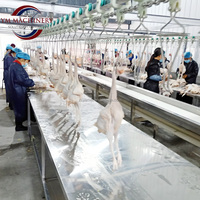 Machine à cueillir le poulet avec eau chaude, mise à niveau de l'efficacité du retrait des plumes