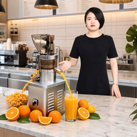Nouvelle Machine à Jus Industrielle Compacte et Pratique de Haute Qualité pour Fruits et Citrons