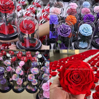 Bestseller - Roses éternelles - Fleurs pour la Saint-Valentin et la fête des mères - Fleurs préservées éternelles - Roses éternelles dans un dôme en verre avec LED