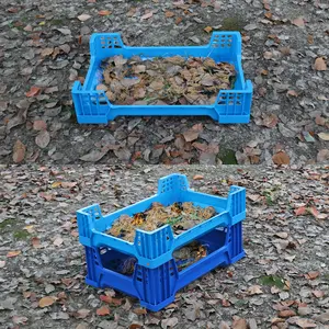 JOIN PP azul apilable negro soldado mosca BSF caja de cría de gusanos de plástico para gusanos de cebada gusanos de seda