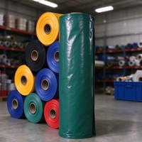 Bâche en polyéthylène PE légère, pliable, anti-poussière, anti-moisissure, pour couverture extérieure