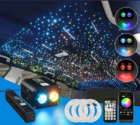 20W 1100PC Dual Port RGB LED Starry Sky Star para Universal Car Starlight Aplicación remota Control de música Auto Fibra óptica Luz ambiental