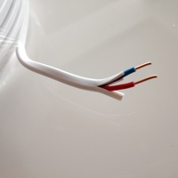 BVVB Kupferkern PVC-isoliertes Flachkabel 2-adrig 2*1,5mm-2*6mm 300/500V Hausverkabelung Anpassbare Länge China Großhändler