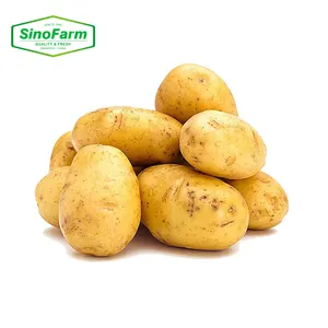 Nuove patate fresche giallo cibo patate verdi verdure agricole all'ingrosso cina Shandong