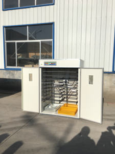 자동 3520 계란 부화기 아프리카 수출 - Product Image 5