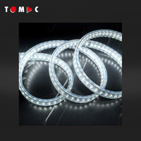 Bande lumineuse LED étanche TOMAC pour chantier de construction, utilisation en extérieur, 220-240V, double face, chaque face 180 LED, 25M, bobine 6000K IP65 IK10
