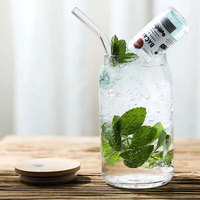 Exportation transfrontalière : Gobelet à cola 16oz en verre borosilicate à paroi simple, résistant à la chaleur, réutilisable, moderne, pour fêtes, boissons froides et jus